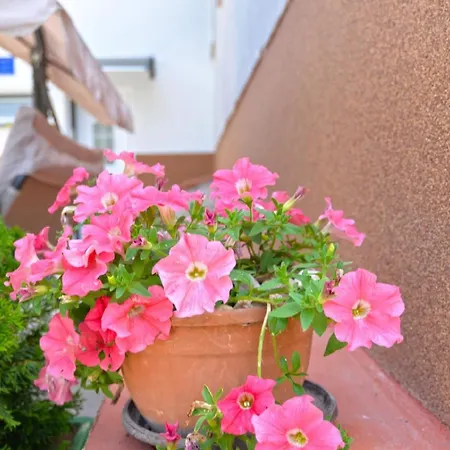 Fuer 5 Personen Ca 84 Qm In Fazana, Istrien Istrische Riviera Apartment Fazana